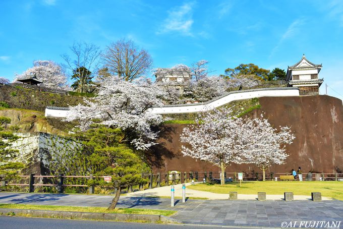 大分県屈指のお花見スポット臼杵市 おすすめ桜の名所３選 大分県 Lineトラベルjp 旅行ガイド