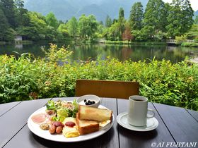 z@̐HוlCX|bg14II߂̃XC[cEOV܂̖X猊܂ŏЉ