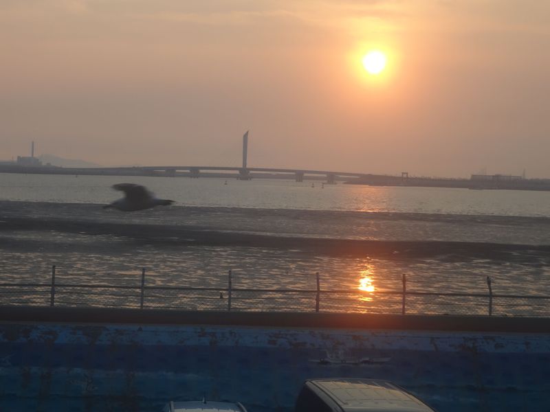 ソウルから日帰りＯＫ！烏耳島は美しい夕陽と海鮮グルメ街