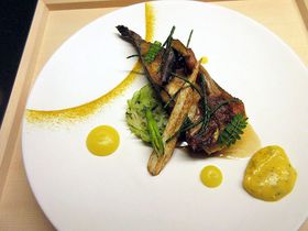 ��x�͑̌����Ă݂�ׂ��A���̓��{���فu���̂Ⓦ���v�̑S�Ă̋L���T���l�C��