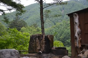 �ۑ����C����鋫�̐�i�I���S�{�u���܂�݂̗��v�ŗ΂̃V�����[���т܂���̋L���T���l�C��