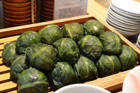 �߂͂���i�Ɍ~!?�u�h�[�~�[�C��PREMIUM�a�̎R�v�̒��H���r�W�z���x�������Ă�̋L���T���l�C��