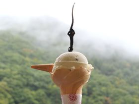 衝撃の見た目！福島「ミニ尾瀬公園」サンショウウオジェラートの味は？