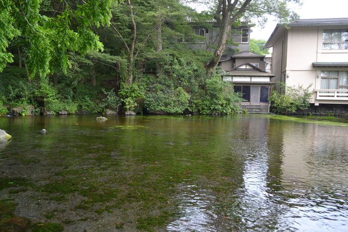 ōłp[NʒrɕԃQXgnEX