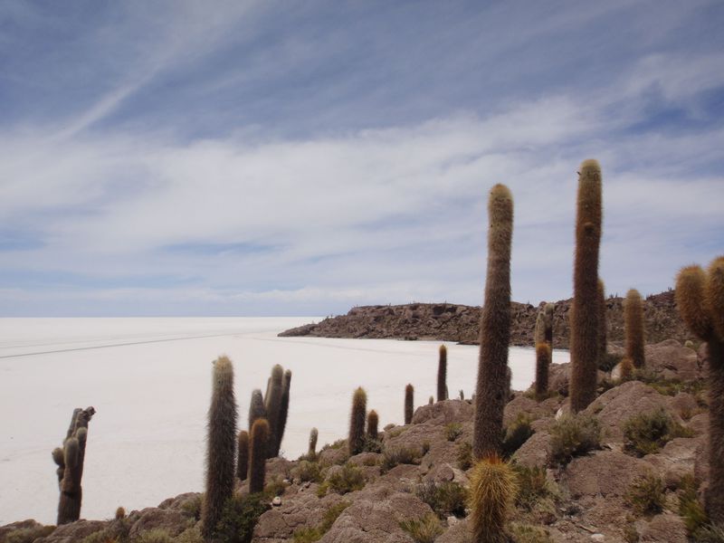 ウユニ塩湖のその先にある絶景へ！乾季にしか通れないルートを辿ってチリの国境まで続く道