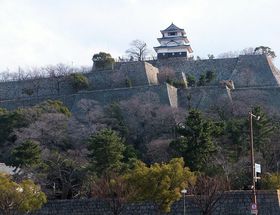 �g3�̓��{��h��������I����̌����V��u�ۋT��v�̋L���T���l�C��