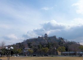 �Ί_�̏�ǁI���쌧�̌����V��E�ۋT��̔������Ɋ��ڂ���̋L���T���l�C��