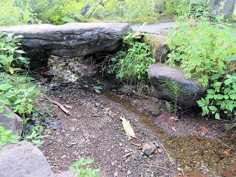 HӊOƁcAꂱ͂̎n܂Ȃ̂I