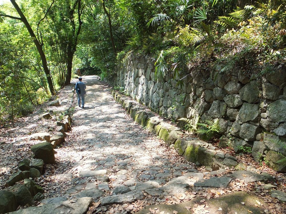 EsȐΊ_ƐΏ̑؁uo铹v