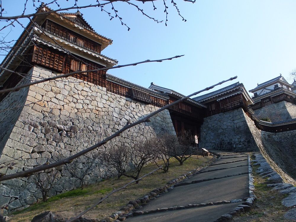 VɈԋ߂IHÒo铹͂ƂԂɖ{ۂ