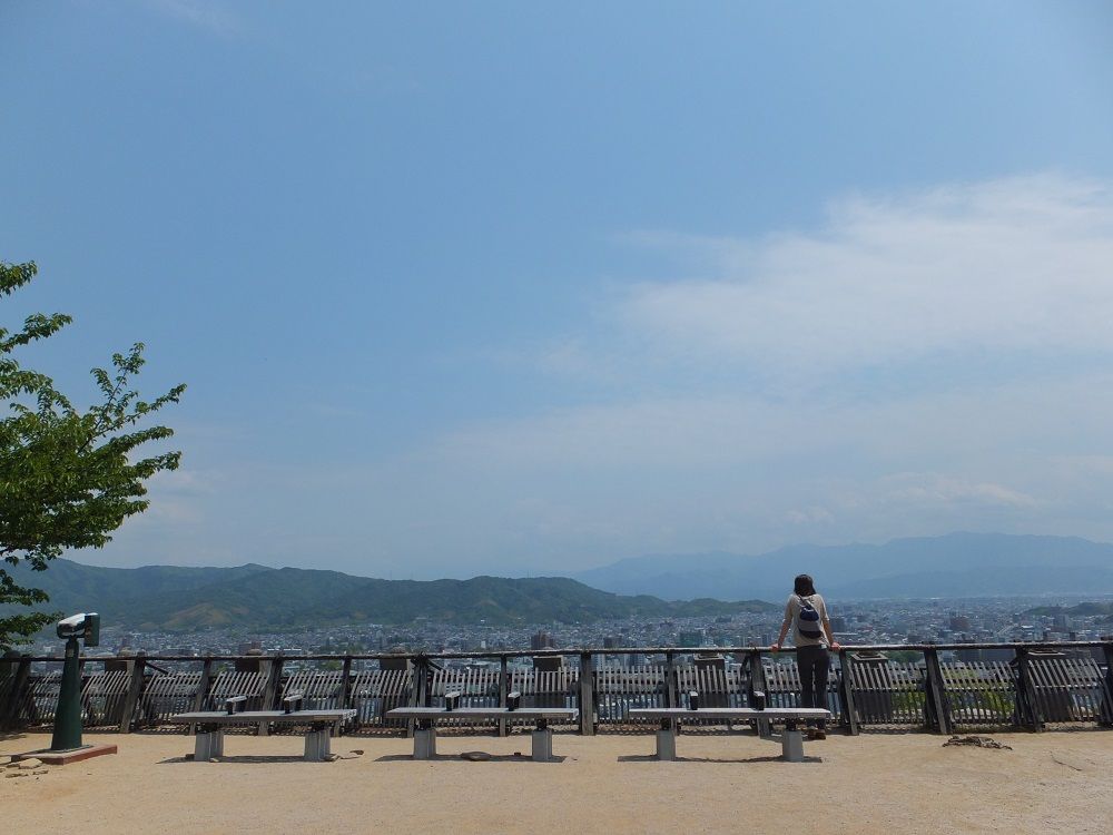 VɈԋ߂IHÒo铹͂ƂԂɖ{ۂ