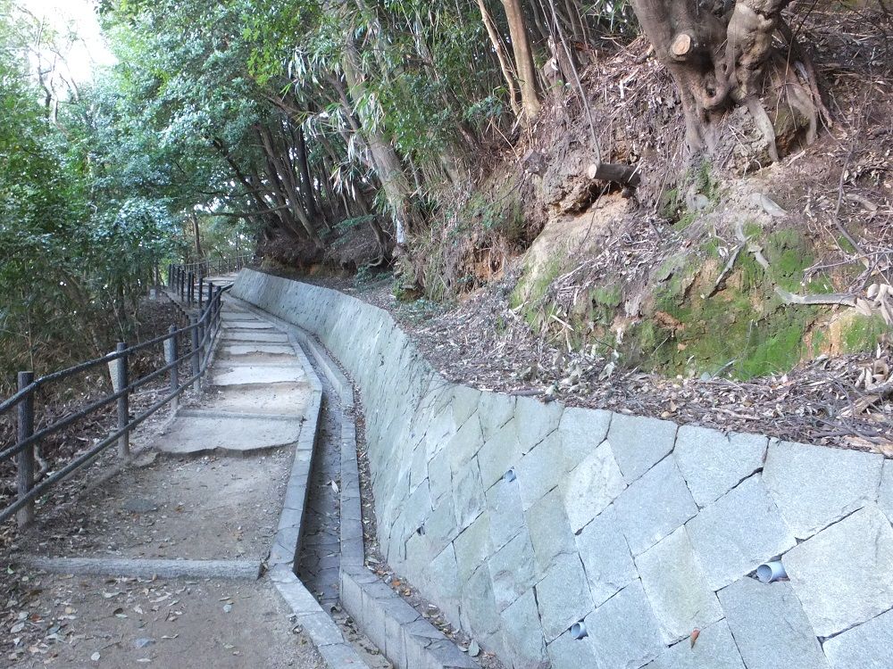 VɈԋ߂IHÒo铹͂ƂԂɖ{ۂ