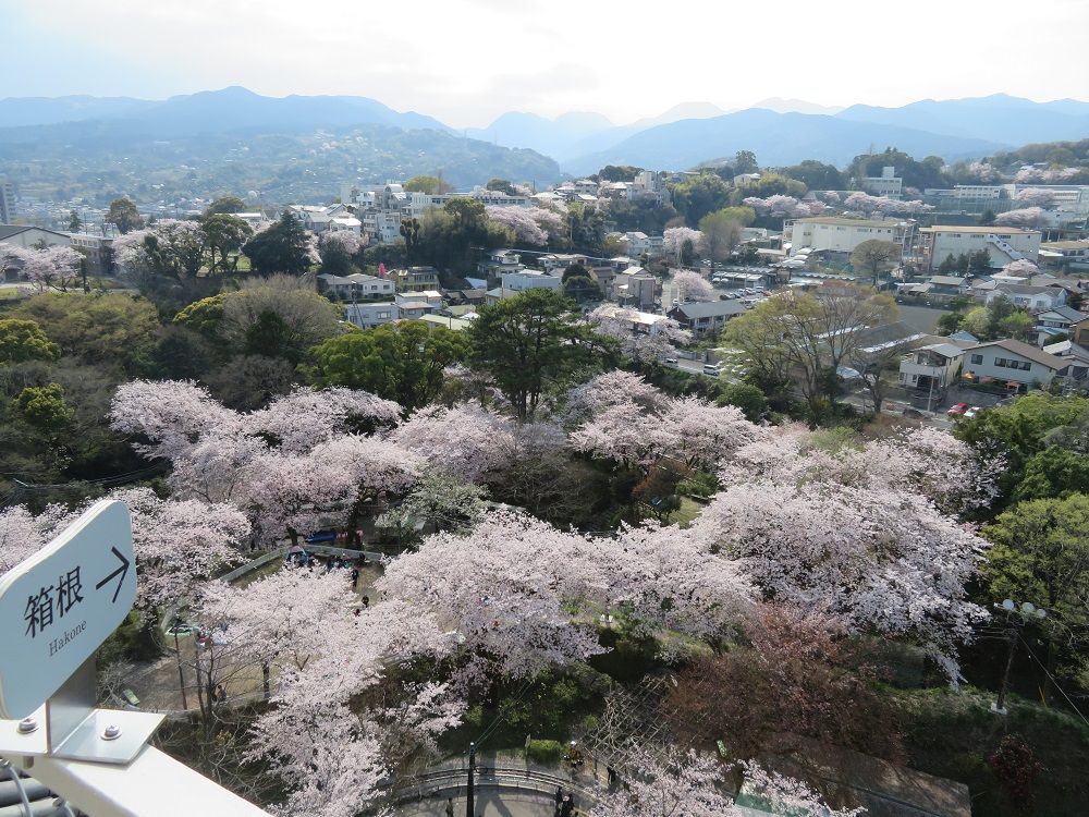 10ōUIcw{ۂ܂ł̍ŒZߓ