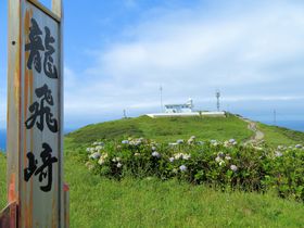 遥々行く津軽半島の最果て！「龍飛崎」の絶景と龍飛マグロを堪能