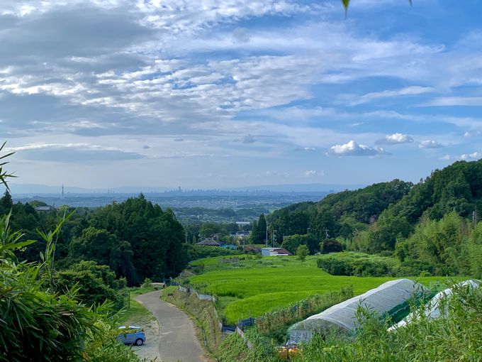 大阪平野を一望！上赤坂城の絶景