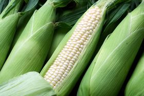 ÂIHsAzCg˂̒nAyԂ藷!̋LTlC