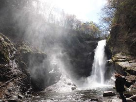 �w���{�̑�S�I�x�唗�͂̏H�ۑ��Ɓw�V�E���̍ד��x�`�{�錧���s�`�̋L���T���l�C��