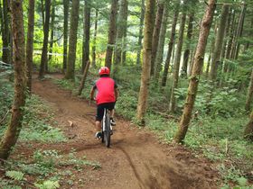 11��3���܂ŁI�I���R�����ς��̃X�L�[��Ń}�E���e���o�C�N��p�R�[�X��̌��I�I�`�R�����u�ӂ��Ă�v�̋L���T���l�C��