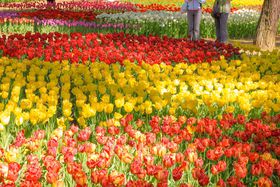 GWɌׂI錧ucЂClṽJtȉԔ̋LTlC