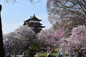 zK ȂI쌧zK𖞋iT̃qgI̋LTlC