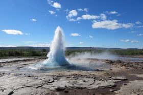 ACXhŝ߃v́HpxXgV[YAAX|bgȂǂI̋LTlC