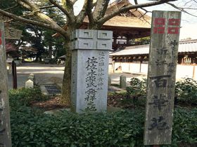 滋賀「沙沙貴神社」は全国の佐々木さんのための寺院！
