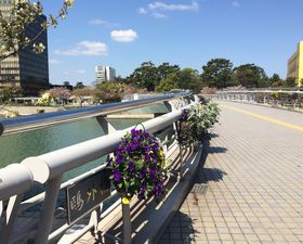 kBsquOvƁuXOwvEXO̖ʉe̋LTlC