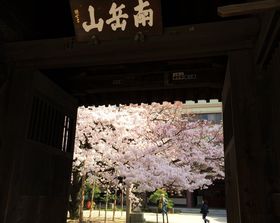 �����E�����u�������v�O�@��t�E��C�n���́g���{�ŌÂ̎��h�̋L���T���l�C��