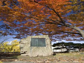 盛岡駅〜岩手公園周辺の「石川啄木の歌碑」巡り