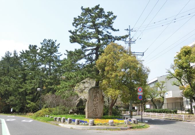 名勝「気比の松原」と後藤新平・書“松原公園”の石碑