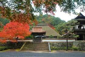 뉀⑍̖{IXO̕铇EØauiv̋LTlC