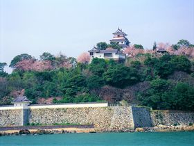 春には桜と藤が花開く！“舞鶴城”とも称される佐賀「唐津城」