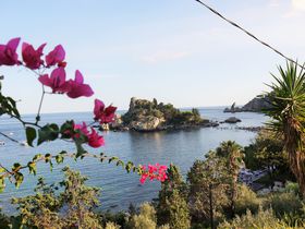 �����Ɨ��j�̕�ɁI�V�`���A���̂������ߊό��X�|�b�g10�I�̋L���T���l�C��