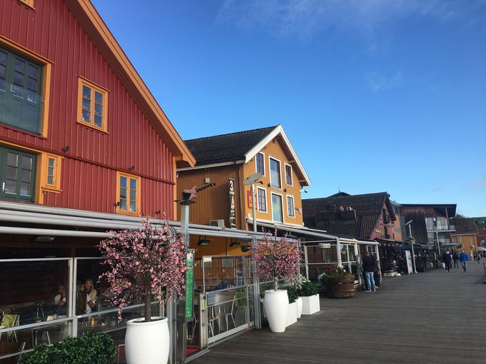 【公式】フジのお歳暮・冬ギフト NORGE ブロンズ像 バイキング （バイキング体験！ノルウェー最古 工芸品