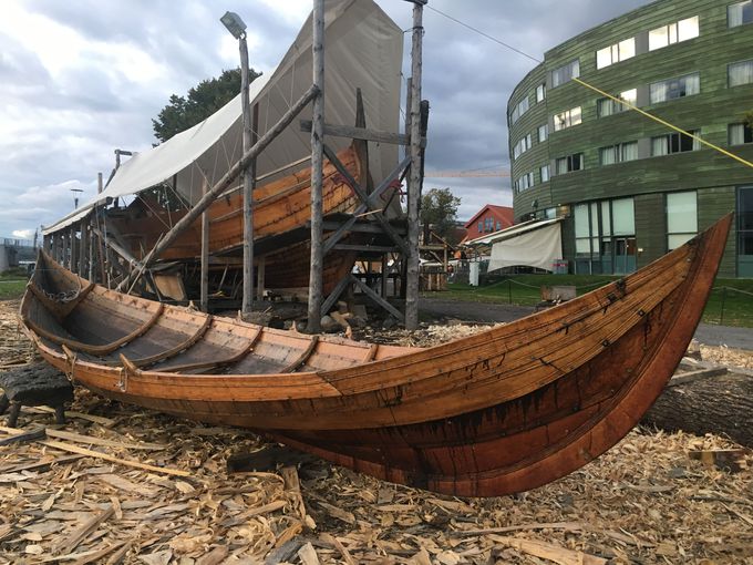 �̂Ȃ���̎�@�ō����o�C�L���O�D