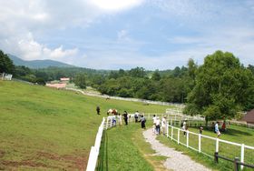 �����̌���X�|�b�g�u�܂��Ό����v�Ŗq��ƃO�����𖞋i�I�̋L���T���l�C��