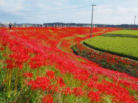 300{̔ފ݉Ԃ͈ImEc̖`w񂬂ˁx̋LTlC