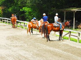 �R���E������IC���玊�߁I��n�N���u�u�z���C�g�T�h���v�ŏ�n�̌��̋L���T���l�C��