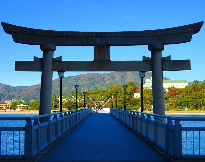 愛知で訪れたいおすすめの神社10選 パワースポットも盛りだくさん トラベルjp 旅行ガイド