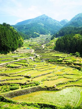 h[炸̑pm}ImEVulJ̐疇cv̋LTlC