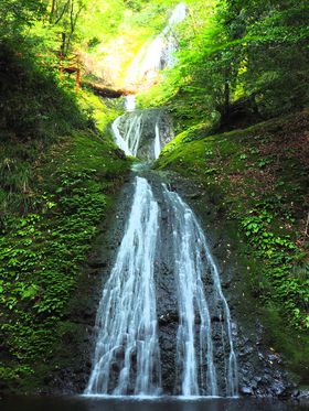 ܂15ImVu̎vŃqXї̋LTlC