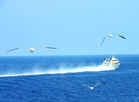 JƈꏏInDDtF[uƂہvōnÍ`ւ̋LTlC