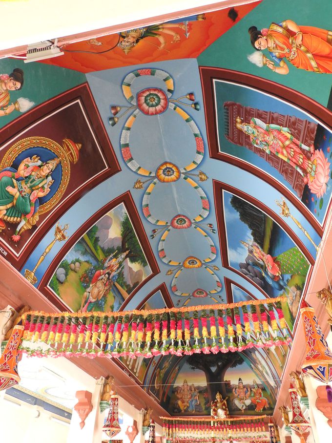 ɍʐF܂ԂqY[@uXE}A}@v