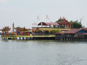 yi̐㐶ґuNEWFeBv̌ǂ͂I̋LTlC