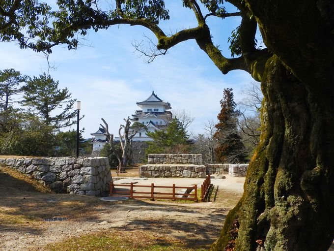 伊賀上野城や忍者屋敷も 上野公園は歴史ファン必見スポット 三重県 Lineトラベルjp 旅行ガイド