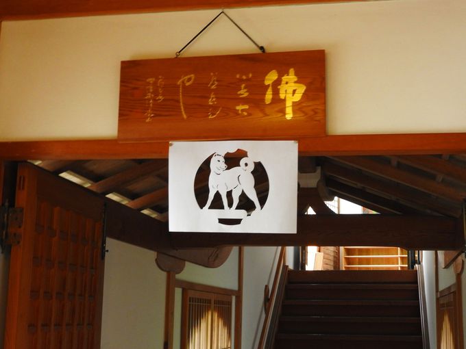 高野山 恵光院 で宿坊体験 阿字観 写経に精進料理も 和歌山県 トラベルjp 旅行ガイド