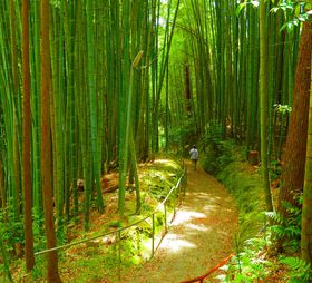 �|�т����������m����u�^�����v�����̂��s�����̒|�V�������̋L���T���l�C��