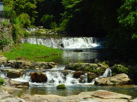 �ƌ��̉ƍN�������񂾈��m����u�r�X�^���C���v�Ɓu��R���Ƌ{�v�����闷�̋L���T���l�C��