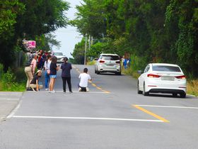 �d�͋t�]!?�؍��ϏB���u���΂����H�v�͋��̓~�X�e���[�X�|�b�g�̋L���T���l�C��