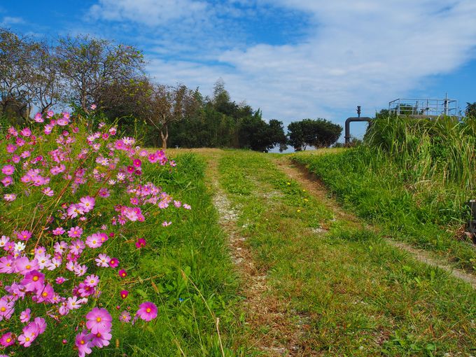 TLoXōsI̒c̋TAȂi